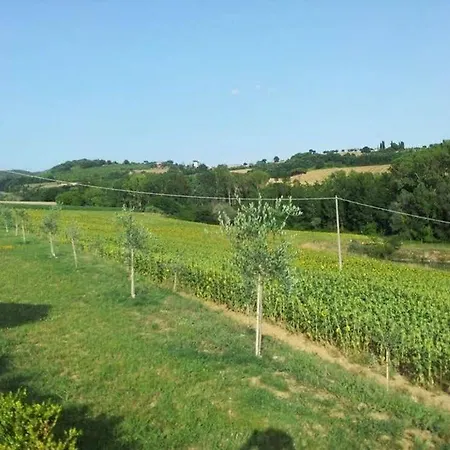 Hotel La Collina Del Sole Coltavolino